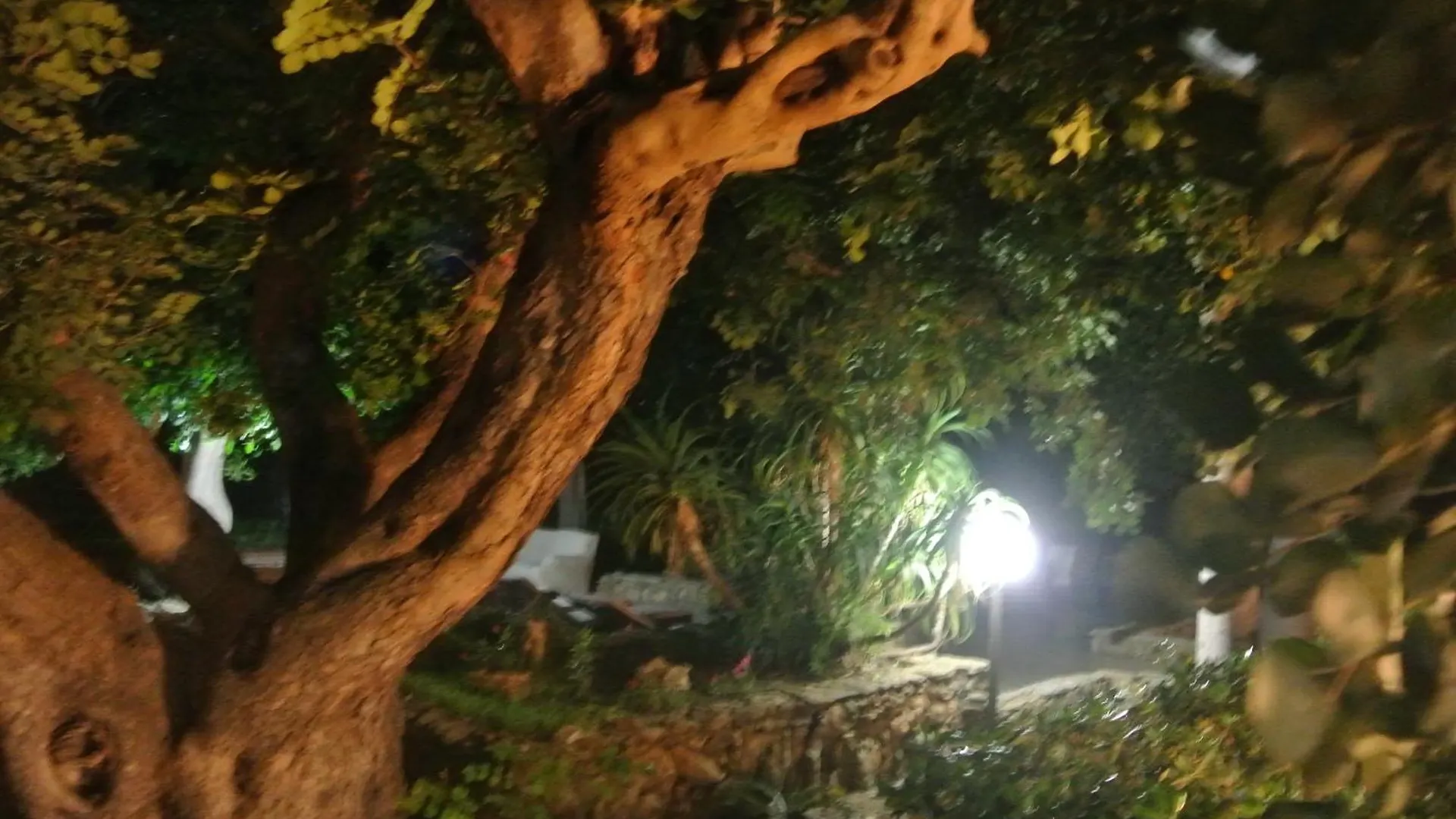 سان ليون Villa Carlotta Resort