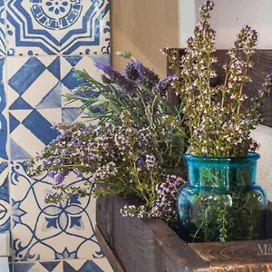  Apartment New - In Centro Storico Italy