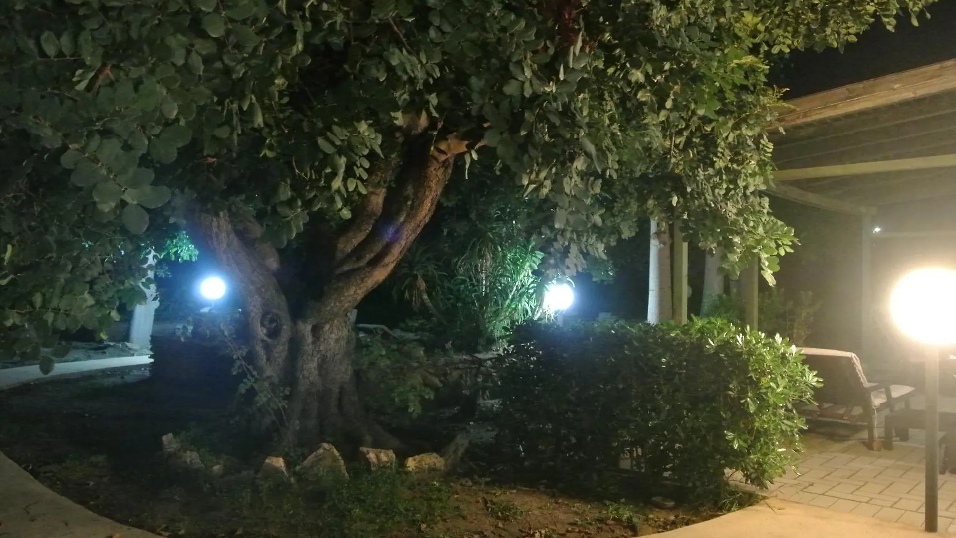 B&B Villa Carlotta Resort San Leone 3*,