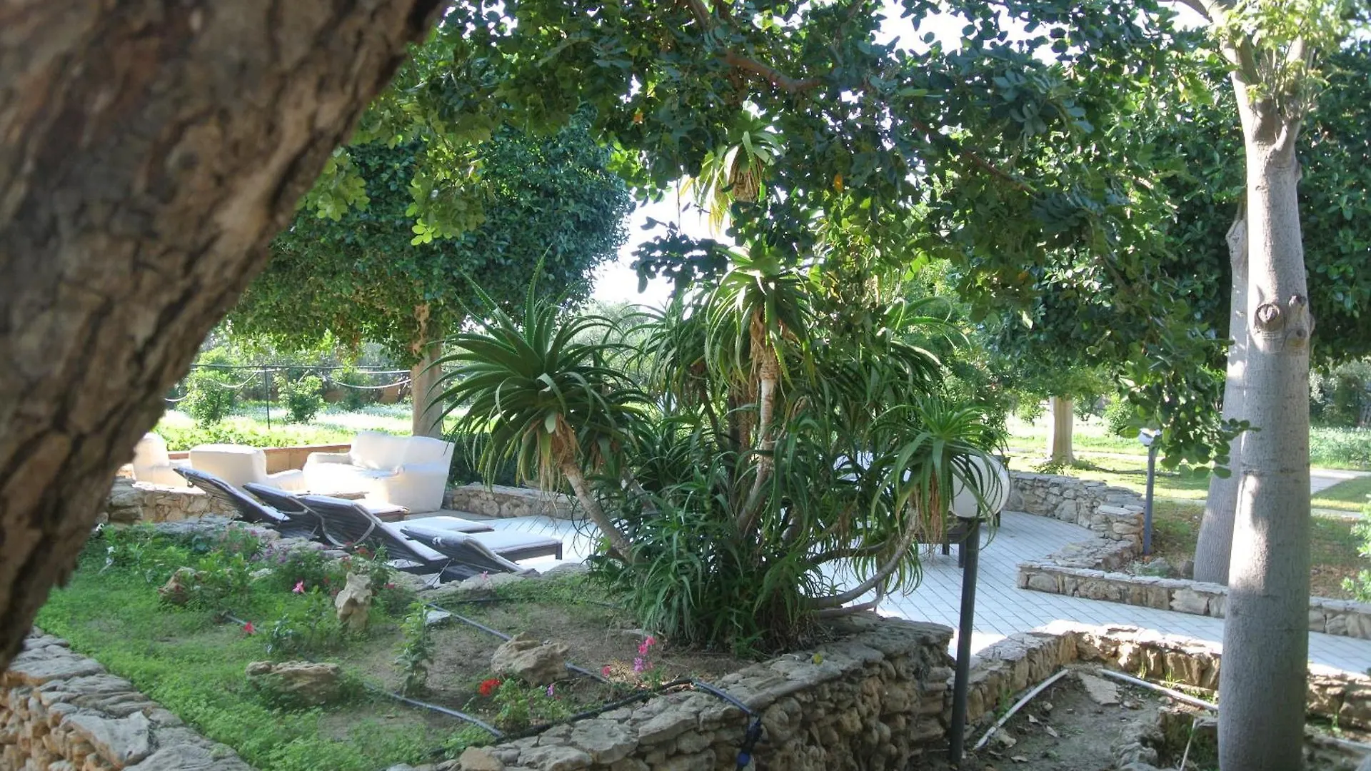 Bed & Breakfast B&B Villa Carlotta Resort San Leone